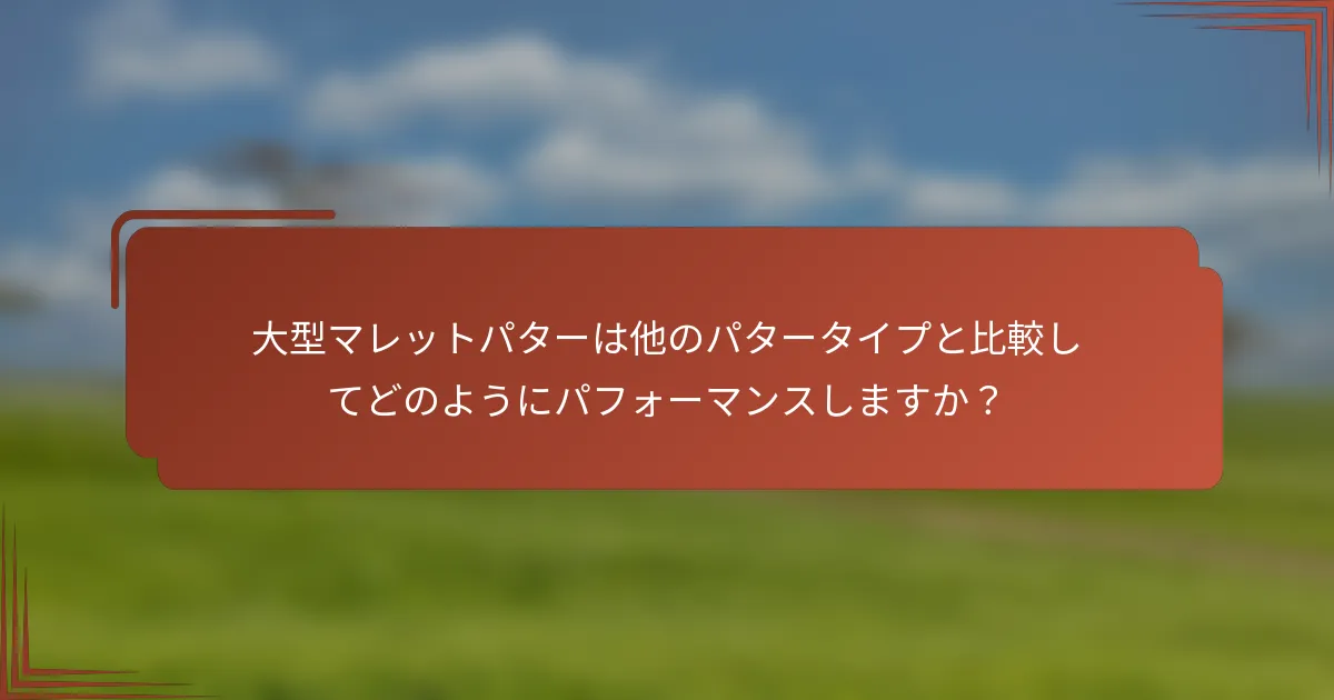 大型マレットパターは他のパタータイプと比較してどのようにパフォーマンスしますか？