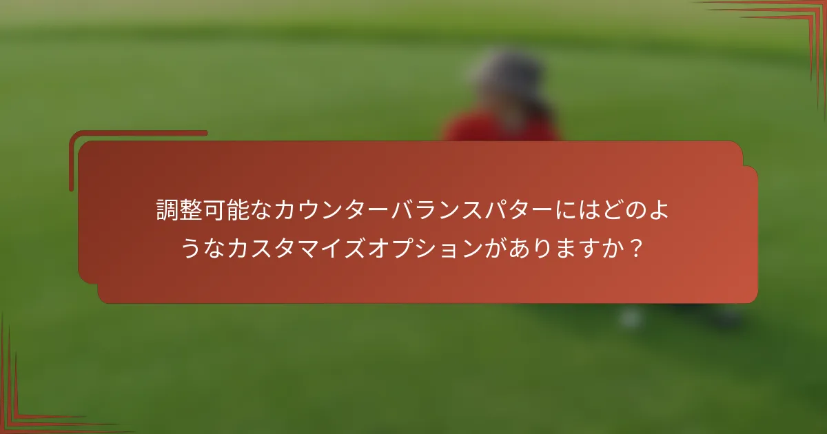 調整可能なカウンターバランスパターにはどのようなカスタマイズオプションがありますか？