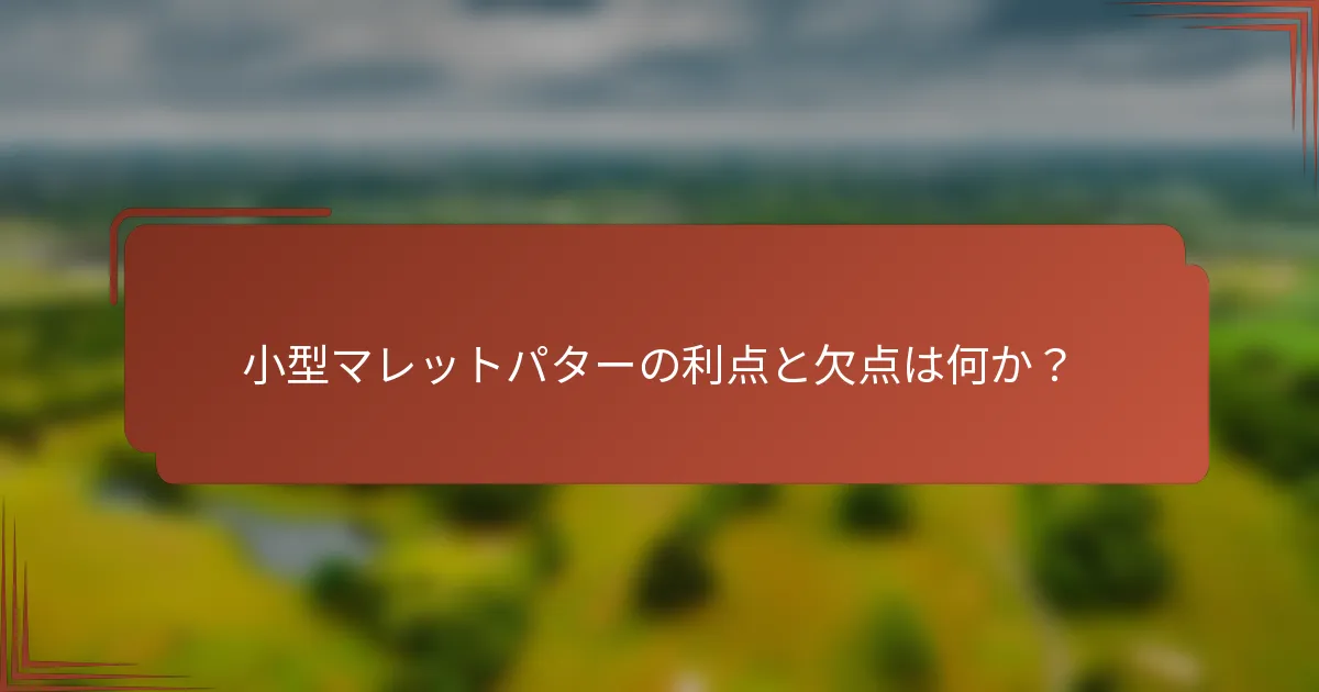 小型マレットパターの利点と欠点は何か？